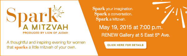 Spark a Mitzvah